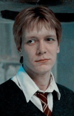 Loathe to love- A George Weasley Y/N fanfiction