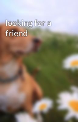 looking for a friend