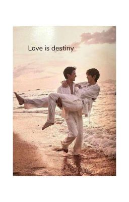 love is destiny 