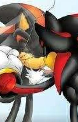 Love Me Forever: Shadow The Hedgehog x reader