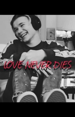 Love Never Dies // Marcus and Martinus story❤️❤️