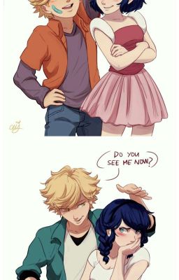 M:TOLBACN(Miraculous: tales of ladybug and chat noir) identities reveled