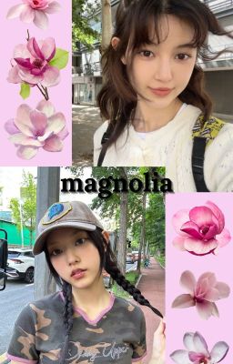 magnolia - daerin