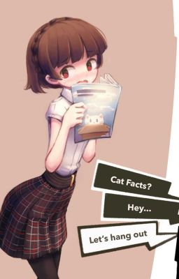 Makoto Niijima x Male reader Persona 5