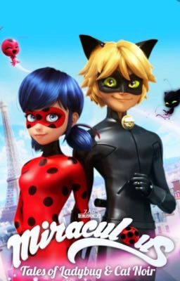 Marichat (Marinette x Chat Noir) Miraculous Ladybug