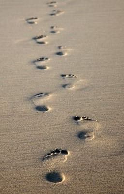 Matching Your Footsteps