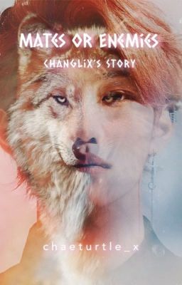 Mates or Enemies ✭ Changlix's Story [COMPLETED]