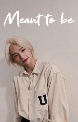 Meant To Be ||Hwang Hyunjin fan fic||