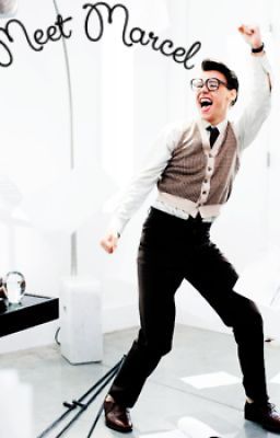 Meet Marcel: A Harry Styles Fanfiction