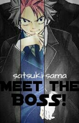 Meet The Boss! [Sequel of MTNG] (Completed)