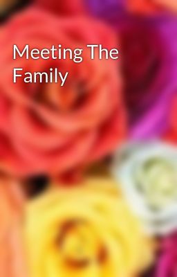 Meeting The Family