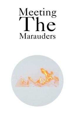 Meeting the Marauders