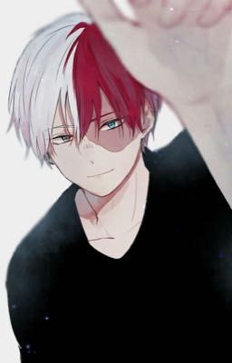 Melt My Frozen Heart (Todoroki FF)