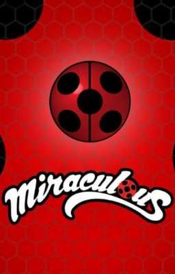 Miraculous Journey 