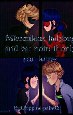 Miraculous ladybug and Cat noir:if only you knew