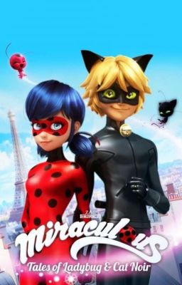 Miraculous ladybug x reader oneshots(ON HOLD)