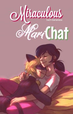 Miraculous MariChat