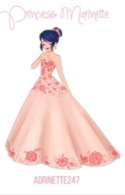 Miraculous Princess Marinette