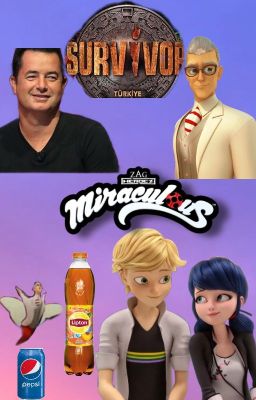 Miraculous: SURVİVOR!