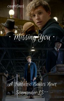 missing you • newt scamander ls