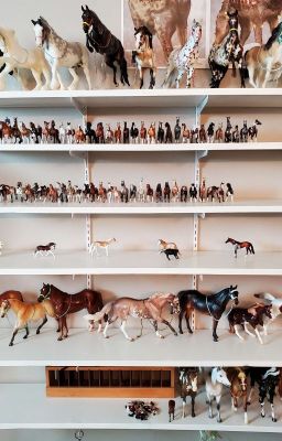 《 Model Horse Collection 2018-21 》