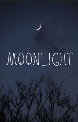 Read Stories Moonlight {Pledis GG} - TeenFic.Net