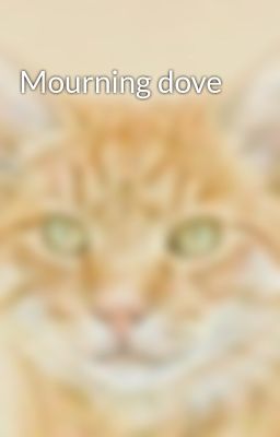 Read Stories Mourning dove - TeenFic.Net