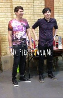 Mr. Perfect and Me (phan) // Under Editing