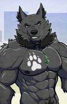 Music can suthe the beast (Furry Male X Male)