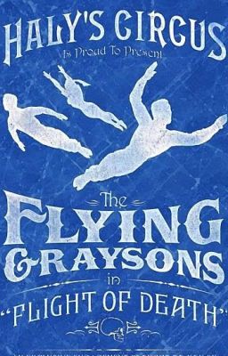 My Flying Grayson ( Grayson x Reader) (Editing )