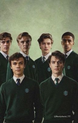 My life at hogwarts with the slytherin boys