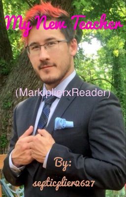 My New Teacher (MarkiplierxReader)