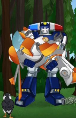 My Rescue Bots Random