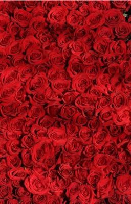 My rose 🌹 