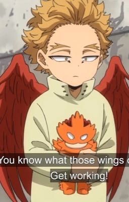 MY SON (kid!hawks + m!reader)(quirkless au)