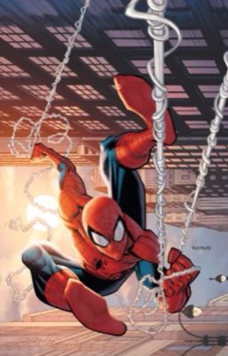 Read Stories My Spider-Man Headcanons  - TeenFic.Net