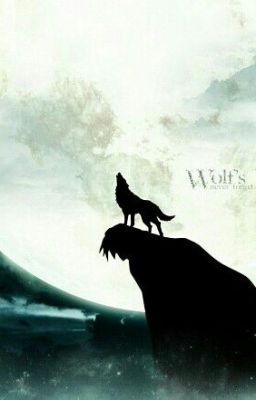 My Wolf's Rain Story