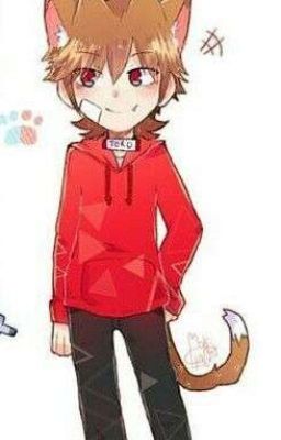 neko! tord x tom 