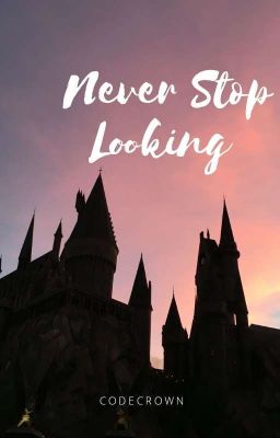 Never Stop Looking (A Hogwarts Mystery Fanfiction) 