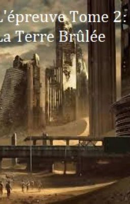 Newt : La Terre Brûlée (Le labyrinthe, Tome 2)