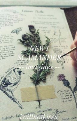 Newt Scamander Imagines.