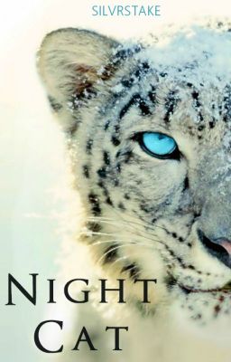 Night Cat | Night Cat #1 (CURRENTLY EDITING)