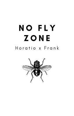 No Fly Zone