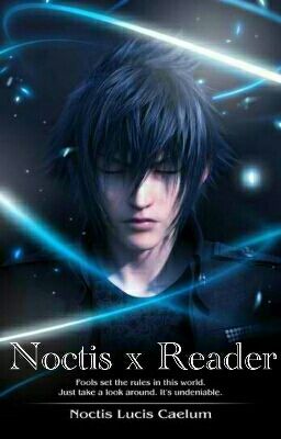 Noctis x Reader ~Destined Meeting