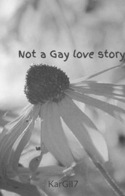 Not a Gay love story