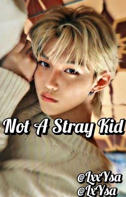 Not A Stray Kid - BXB (No Y/N)