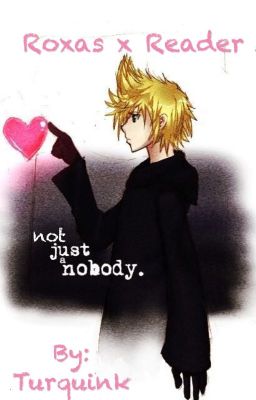 Not Just a Nobody. {Roxas x Reader}