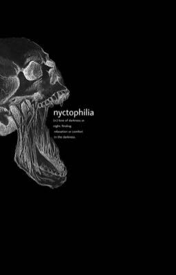 Nyctophilia