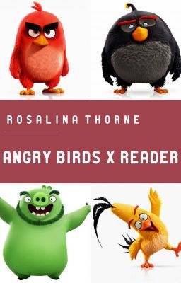 [OLD CONTENT] Angry Birds x Reader {REQUESTS CLOSED!}