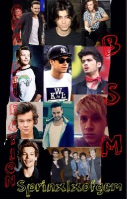 One Direction BSM